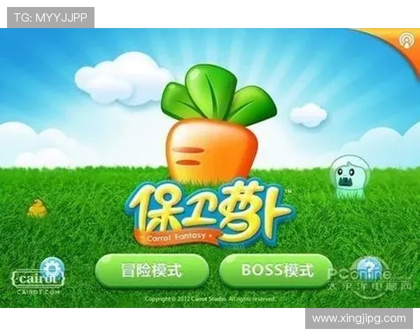 PG电子官方手机版安全保障措施，确保玩家资金与个人信息的绝对安全与隐私保护